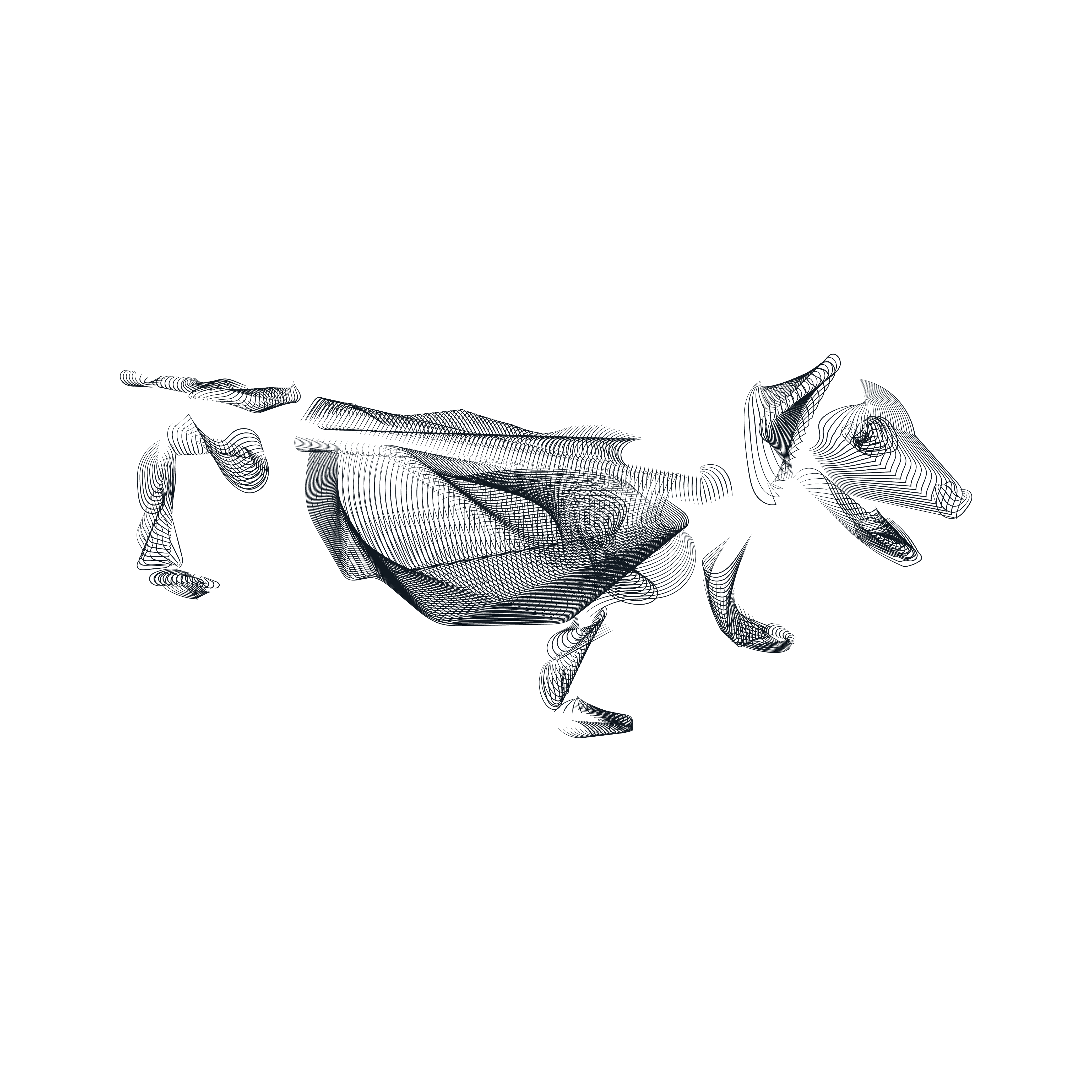 Hunde-Röntgen